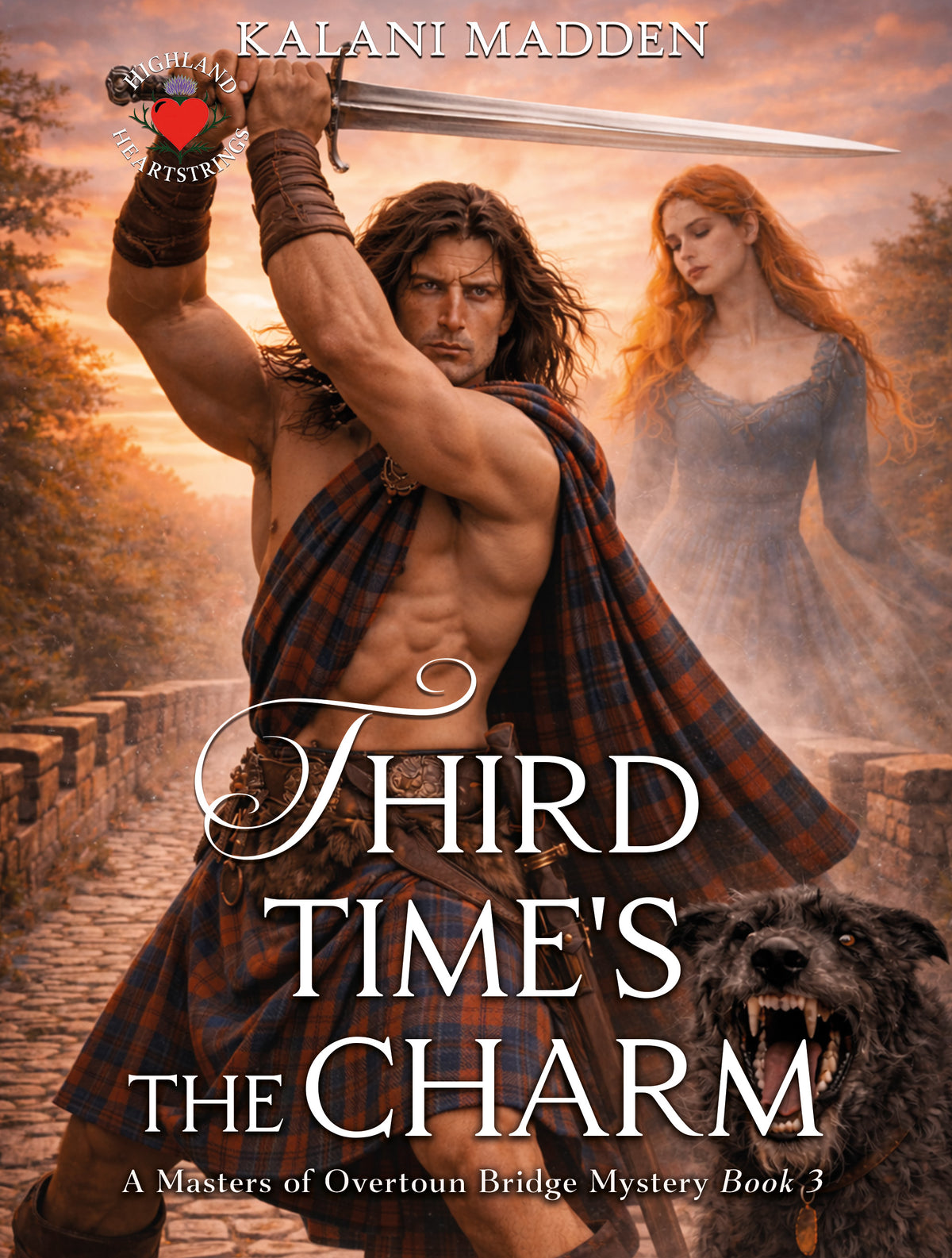 Third Time Third Time's The Charm Paperback – KM-Books-us